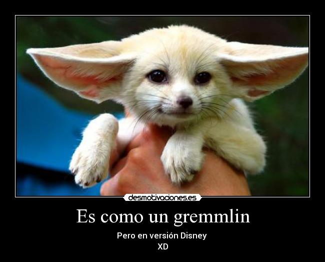 carteles como desmotivaciones