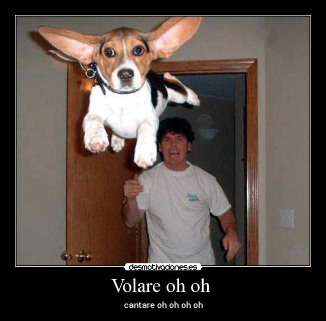 Volare oh oh -