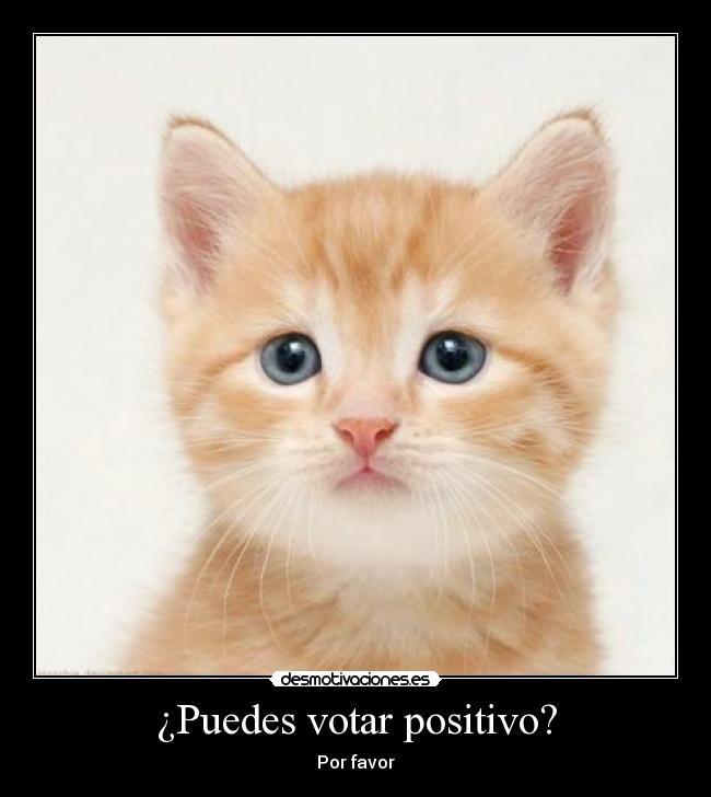 carteles positivo desmotivaciones