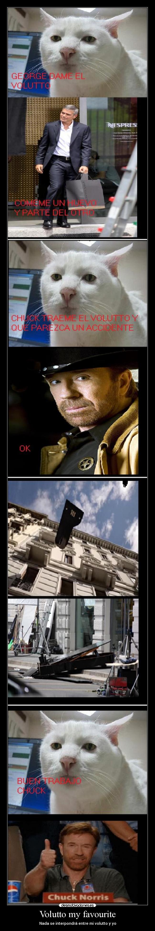 Volutto my favourite - Nada se interpondrá entre mi volutto y yo