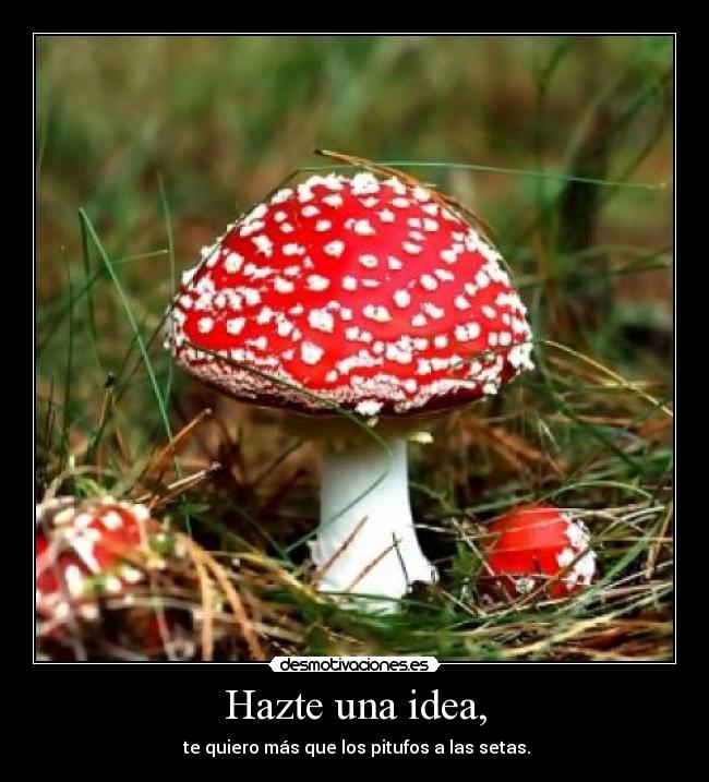 Hazte una idea, - 