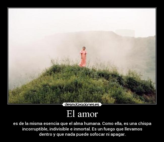 El amor -