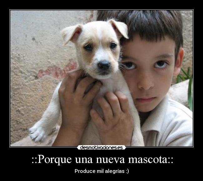 ::Porque una nueva mascota:: -