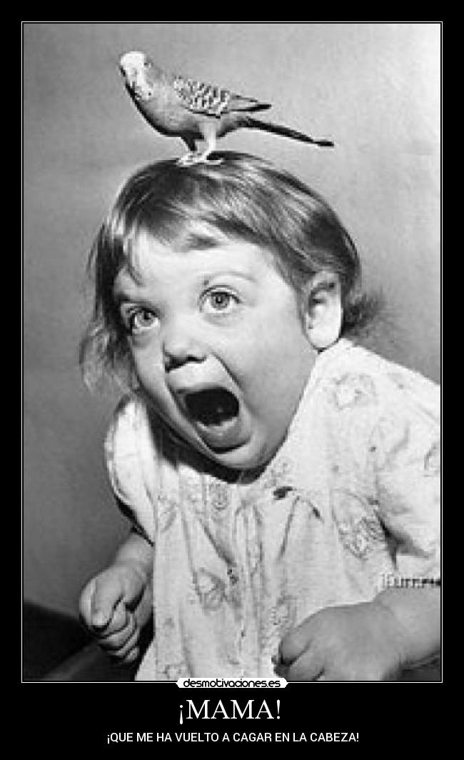 ¡MAMA! - ¡QUE ME HA VUELTO A CAGAR EN LA CABEZA!