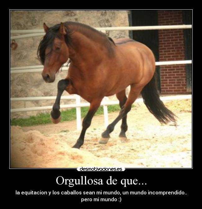 Orgullosa de que... - la equitacion y los caballos sean mi mundo, un mundo incomprendido..
pero mi mundo :)