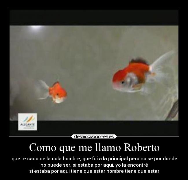 Como que me llamo Roberto - que te saco de la cola hombre, que fui a la principal pero no se por donde
no puede ser, si estaba por aqui, yo la encontré
si estaba por aqui tiene que estar hombre tiene que estar