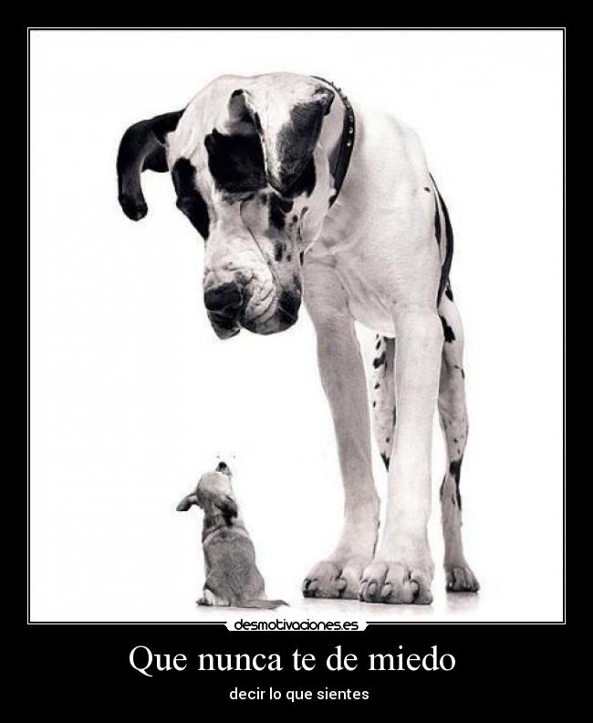 Que nunca te de miedo - decir lo que sientes