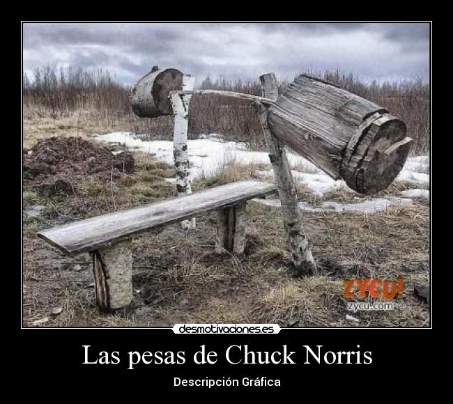 Las pesas de Chuck Norris - Descripción Gráfica