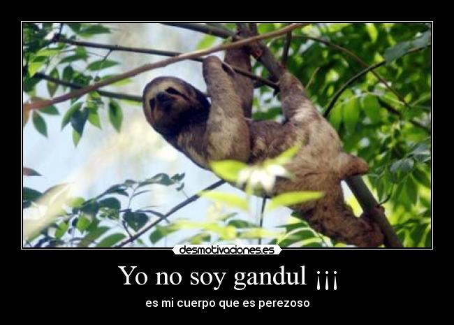 Yo no soy gandul ¡¡¡ - es mi cuerpo que es perezoso