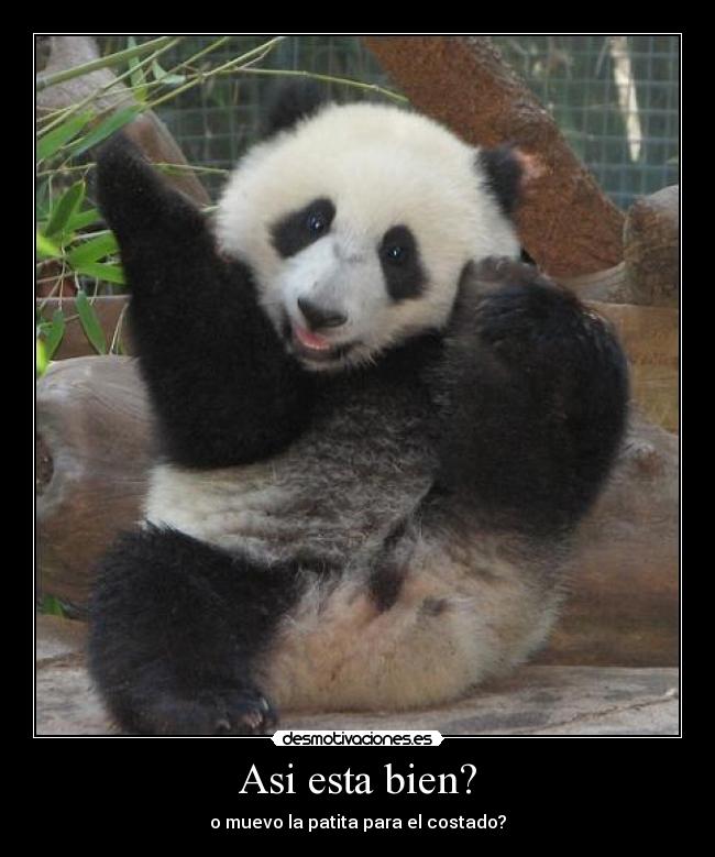 Asi esta bien? - o muevo la patita para el costado?