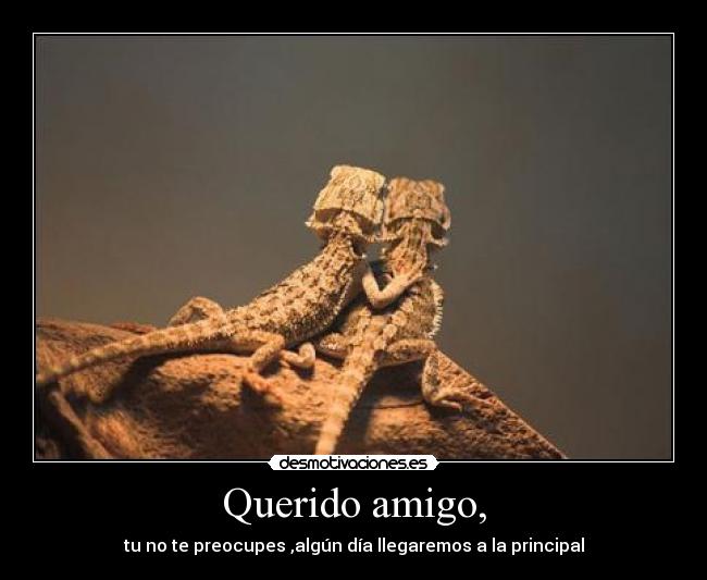 Querido amigo, - tu no te preocupes ,algún día llegaremos a la principal