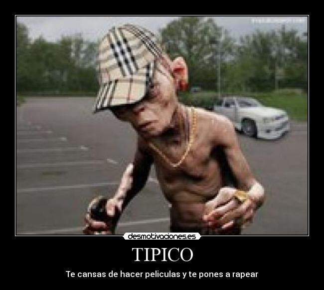 TIPICO -
