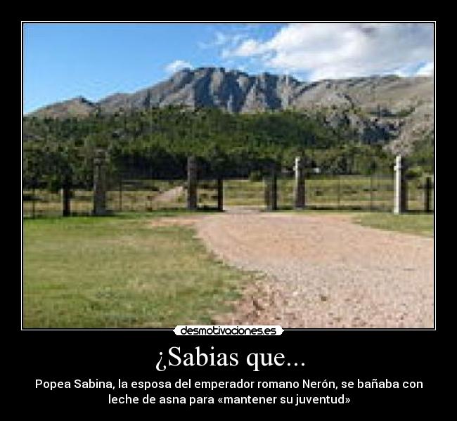 ¿Sabias que... - Popea Sabina, la esposa del emperador romano Nerón, se bañaba con
leche de asna para «mantener su juventud»