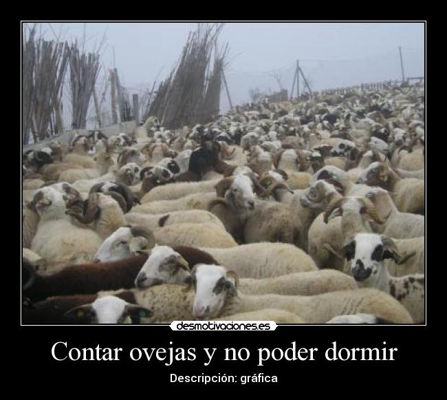 carteles dormir odalis desmotivaciones