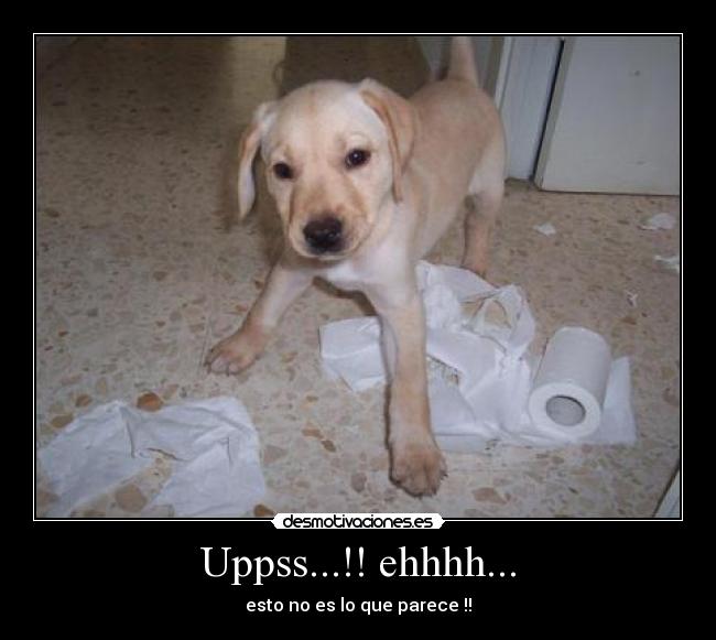 carteles dsavdf desmotivaciones