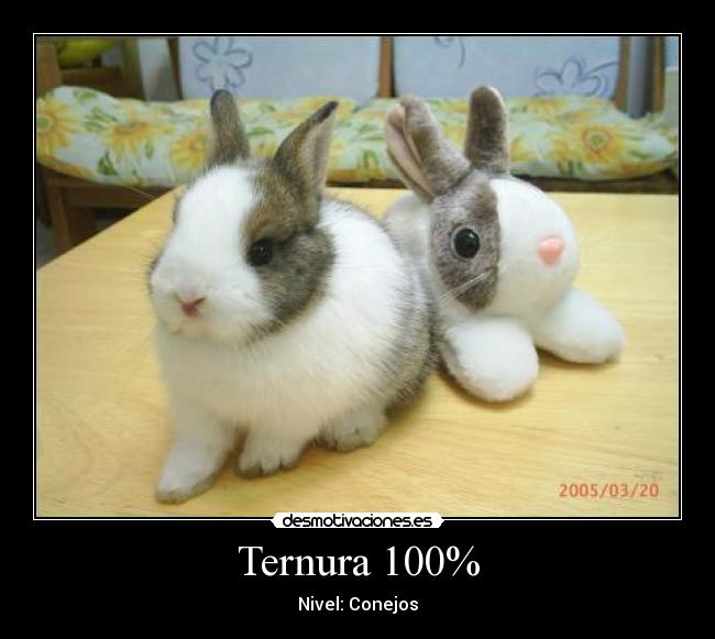 Ternura 100% - Nivel: Conejos