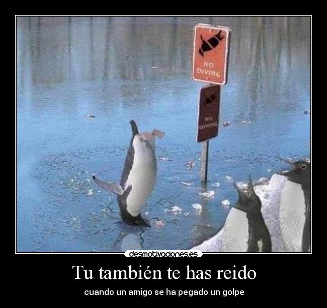 Tu también te has reido - cuando un amigo se ha pegado un golpe