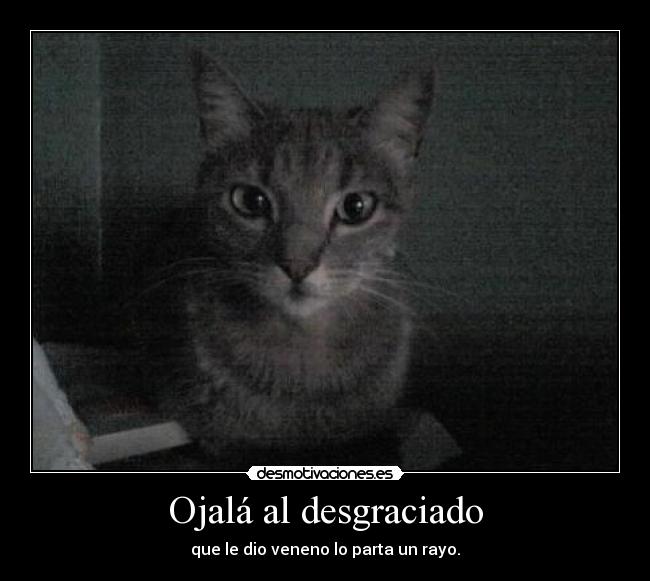 Ojalá al desgraciado - 