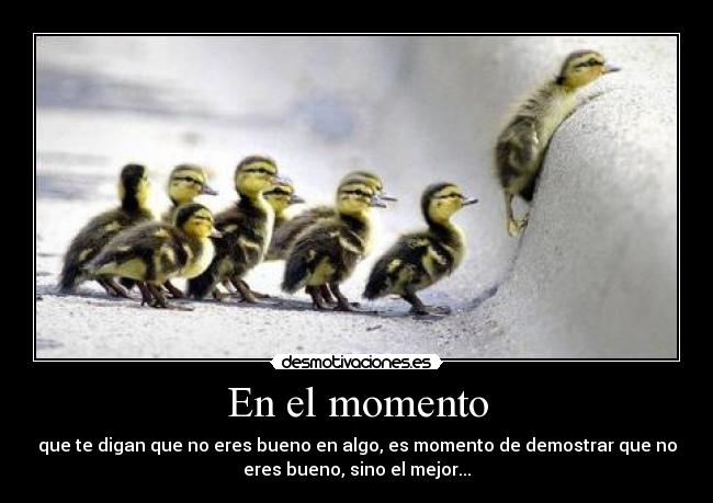 En el momento - que te digan que no eres bueno en algo, es momento de demostrar que no
eres bueno, sino el mejor...