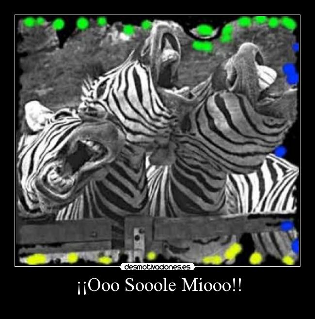 ¡¡Ooo Sooole Miooo!! - 