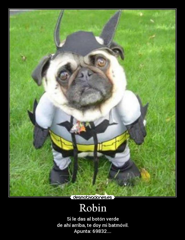 Robin - Si le das al botón verde
de ahí arriba, te doy mi batmóvil.
Apunta: 69832....