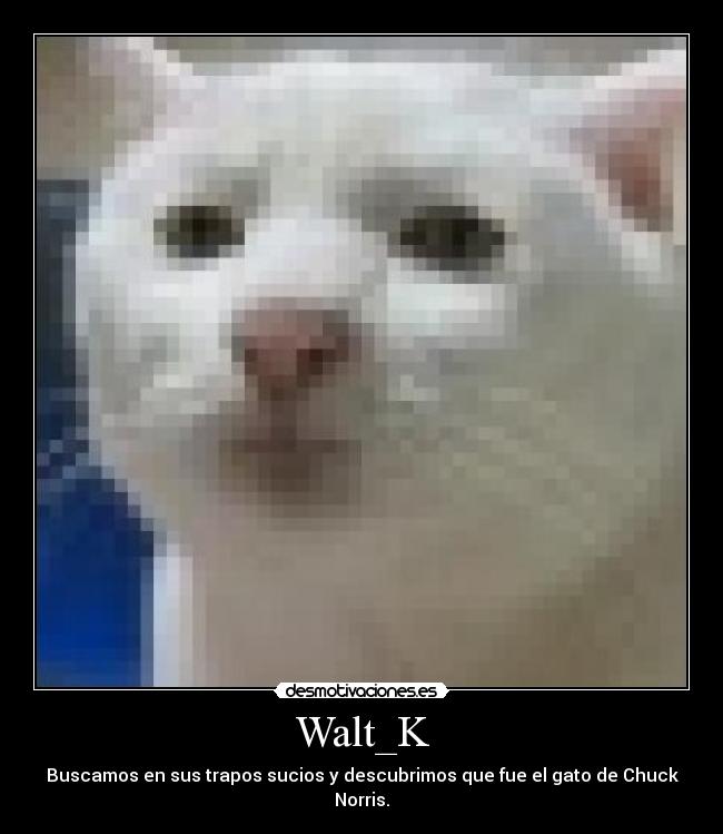 Walt_K - 