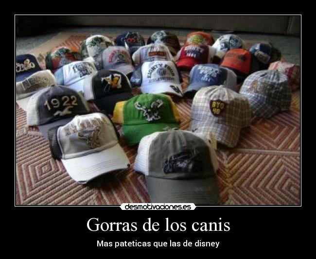 Gorras de los canis - Mas pateticas que las de disney