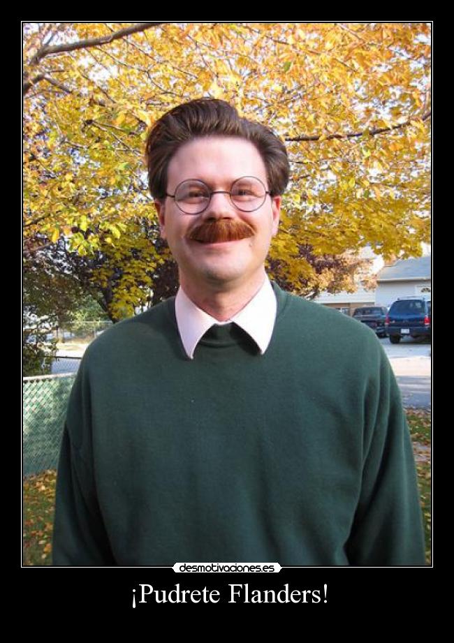 carteles ned flanders desmotivaciones