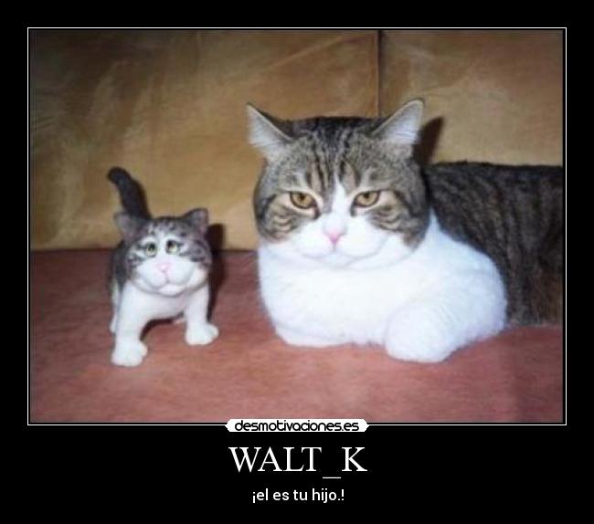 WALT_K -