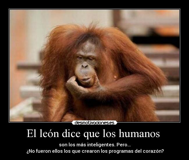 carteles orangutan leon animales humanos inteligentes programas corazon desmotivaciones