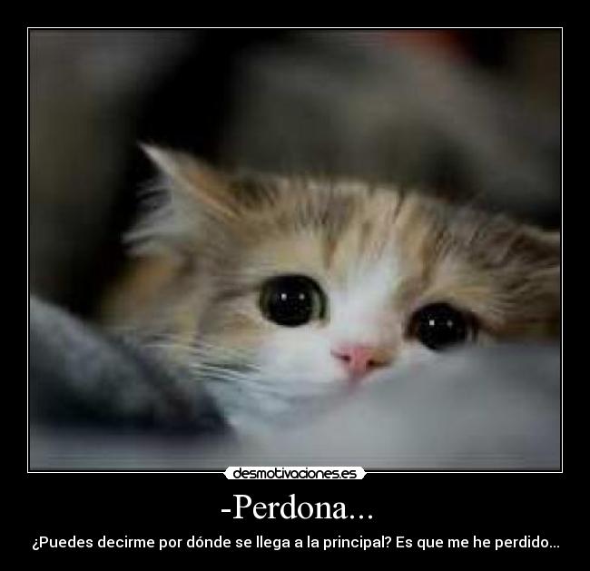 -Perdona... - ¿Puedes decirme por dónde se llega a la principal? Es que me he perdido...