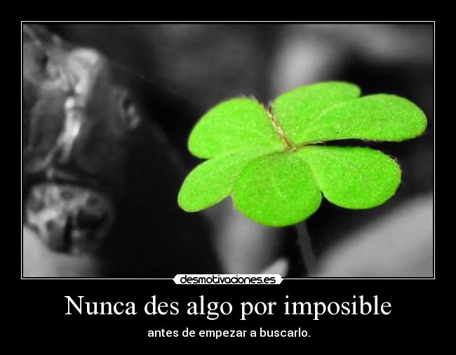 Nunca des algo por imposible - antes de empezar a buscarlo.