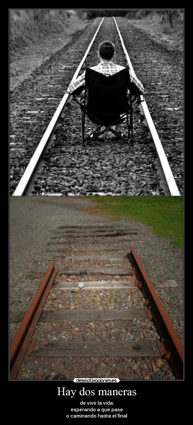 carteles vida desmotivaciones