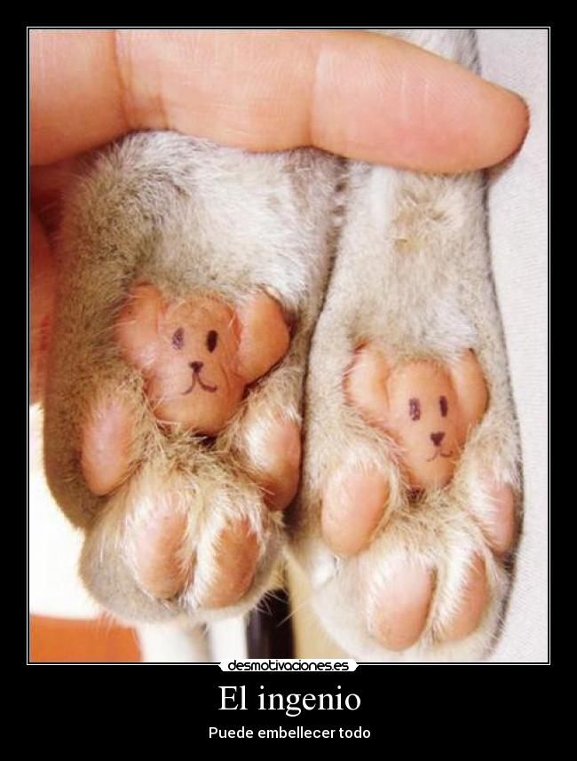 El ingenio - Puede embellecer todo