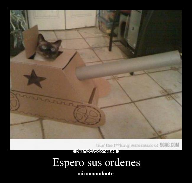 Espero sus ordenes -