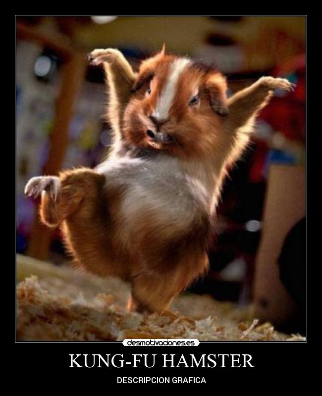 KUNG-FU HAMSTER - DESCRIPCION GRAFICA