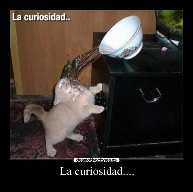 La curiosidad.... -