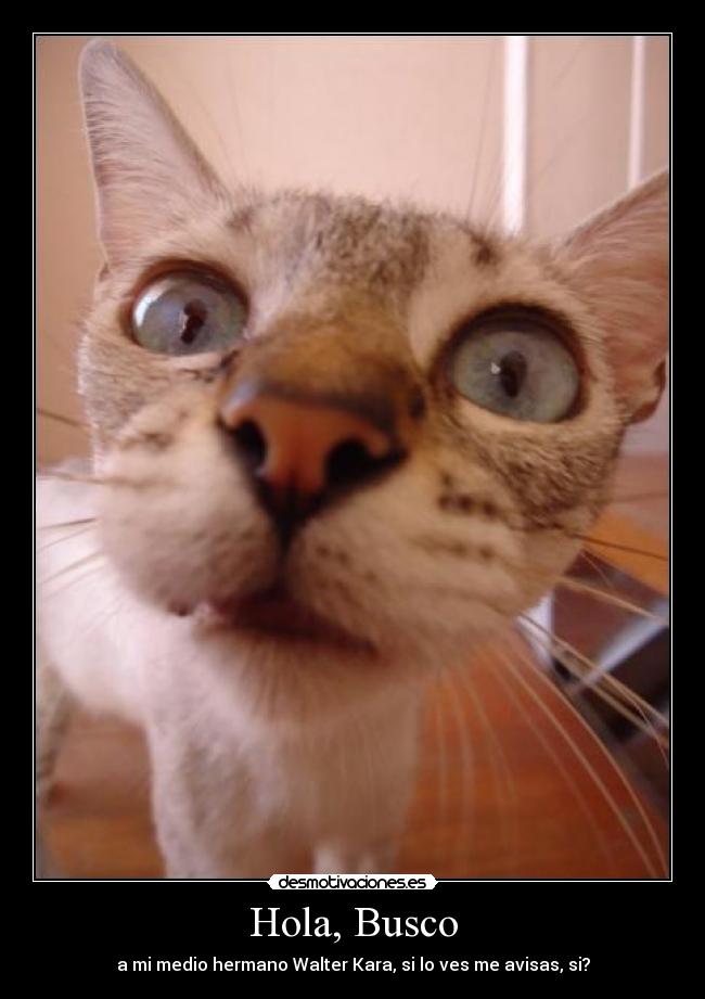 Hola, Busco - a mi medio hermano Walter Kara, si lo ves me avisas, si?