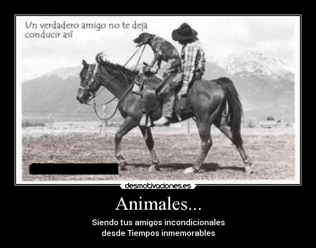 Animales... - Siendo tus amigos incondicionales
desde Tiempos inmemorables