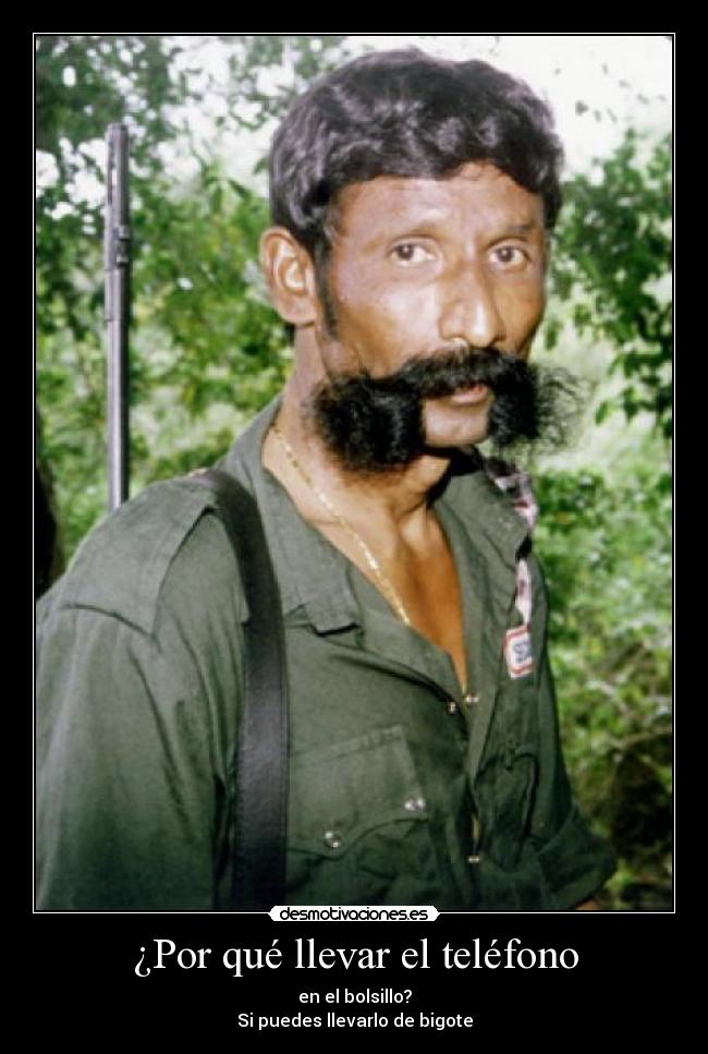 ¿Por qué llevar el teléfono -