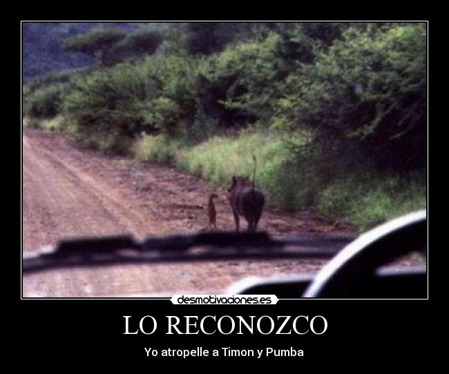 LO RECONOZCO - 