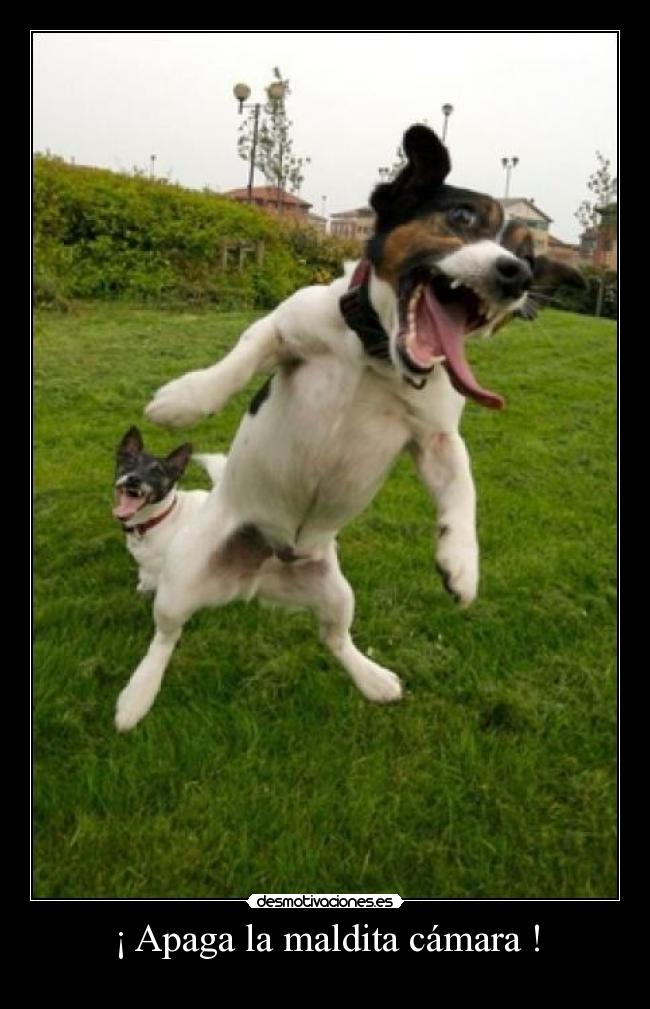 ¡ Apaga la maldita cámara ! - 