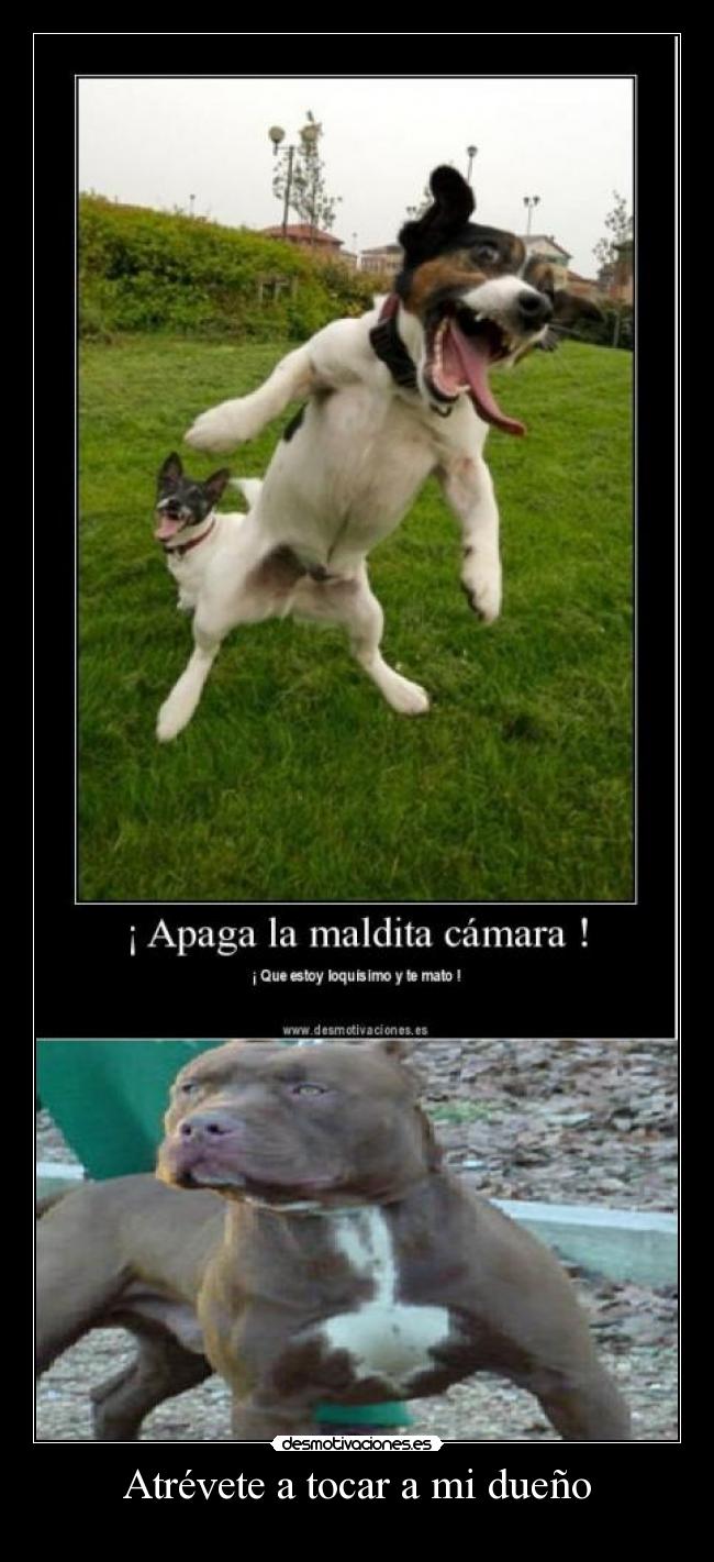 carteles desmotivaciones