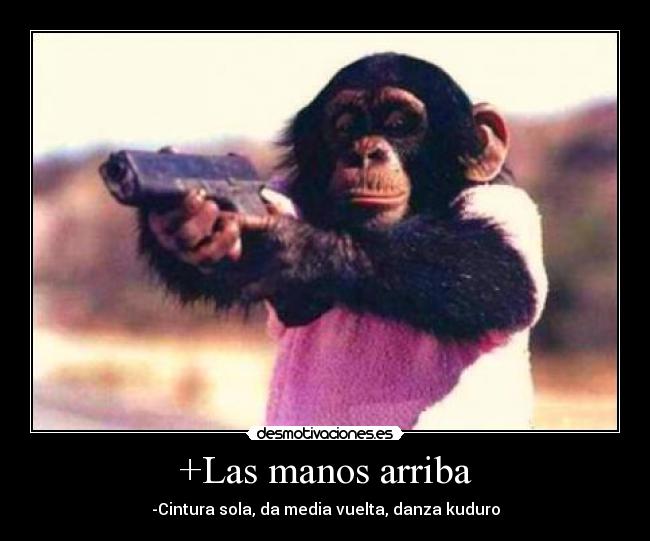 +Las manos arriba - -Cintura sola, da media vuelta, danza kuduro