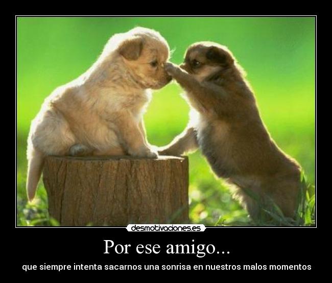 Por ese amigo... - que siempre intenta sacarnos una sonrisa en nuestros malos momentos