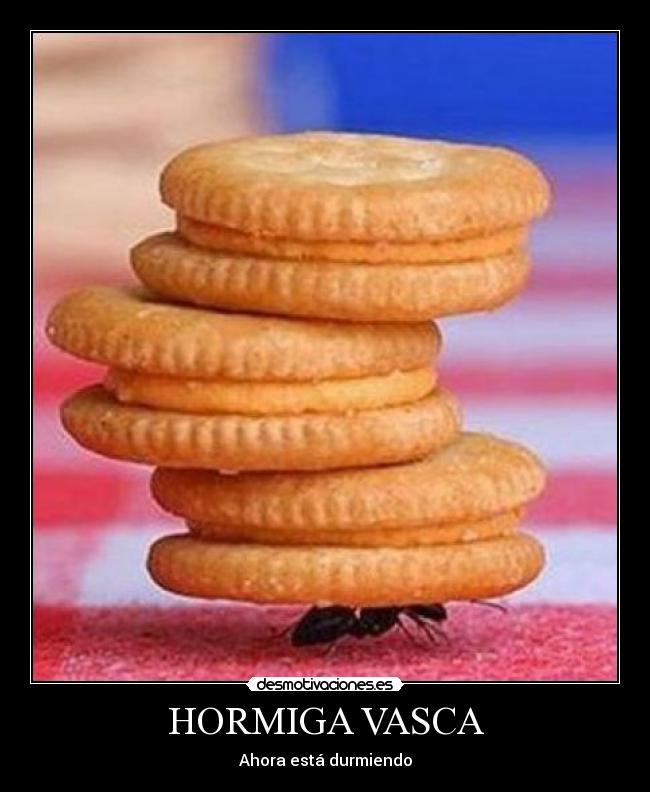 HORMIGA VASCA - 