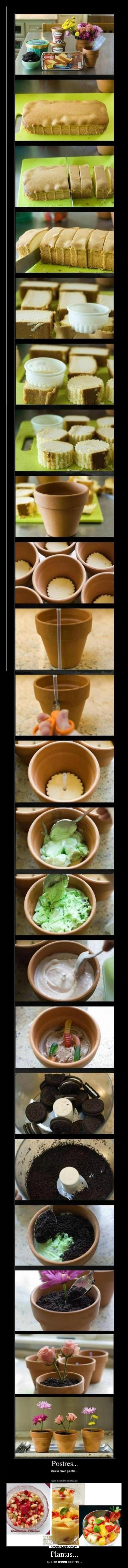Plantas... - que se creen postres...