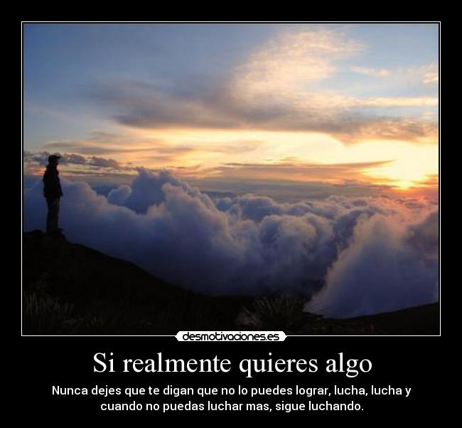 carteles lucha luchar realmente quieres algo sigue nunca dejes desmotivaciones