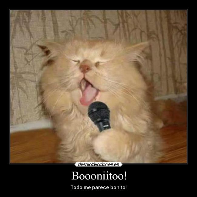 Boooniitoo! -
