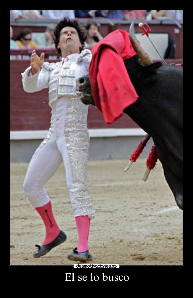 El se lo busco -